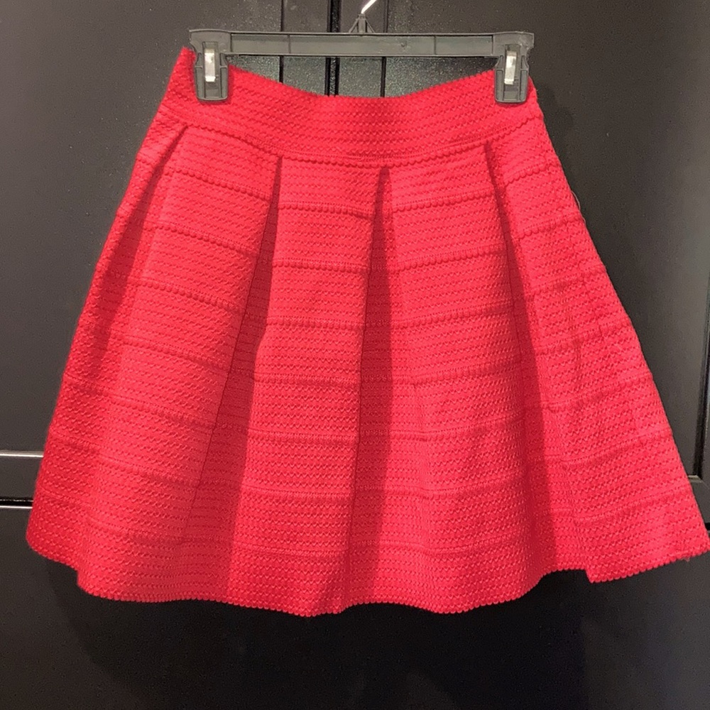 Express skirt